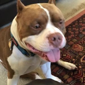 Meet your Posher, Inga